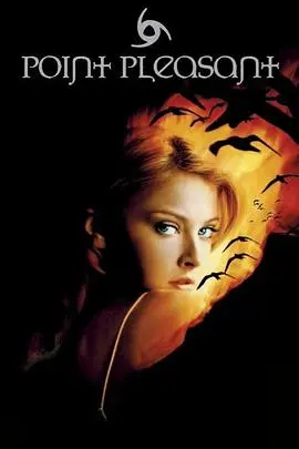 《海角惊魂》第一季：迷雾笼罩，真相深埋的悬疑佳作