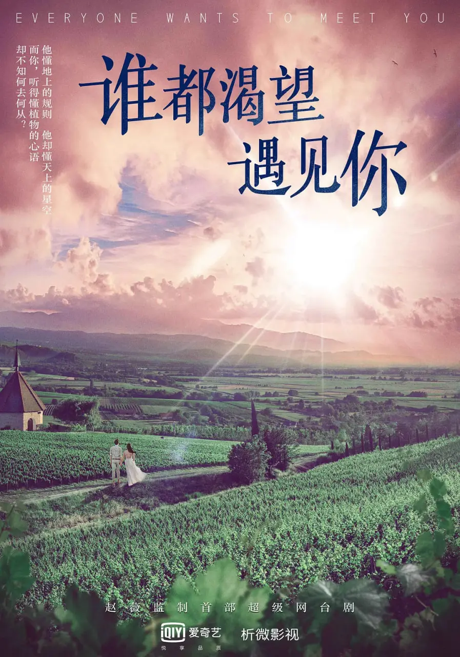 《谁都渴望遇见你》：当失忆遇上霸总，一部充满反转的甜宠轻喜剧