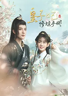 皇子妃修炼手册 海报