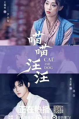 《喵喵汪汪》：毛茸茸的治愈剂，让你笑出眼泪的宠物温情与成长启示！